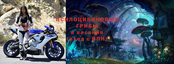 прущая мука Верея