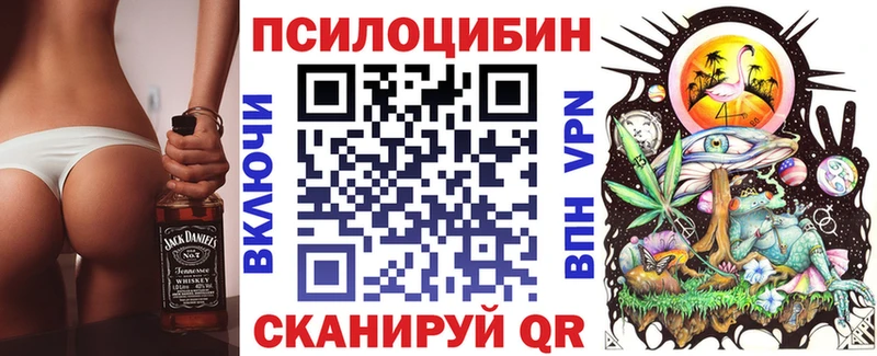 цена наркотик  Меленки  Галлюциногенные грибы GOLDEN TEACHER 
